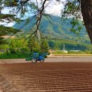 대기리마을회관 이미지