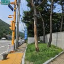 헤븐벨리1 | 펜션을 낄여왔습니다