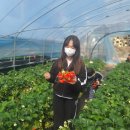포올 석사 태권도 | 후기 (도봉구 쌍문동태권도, 쌍문1동 참바른태권도...발달, 운동학습,포올연구소,감각처리,분석,운동...