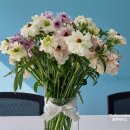 세복농장 | 농라에프 꽃 농장 직거래 택배 #내돈내산 후기 (세복농원)