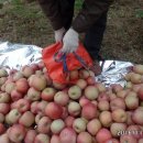 충주동성상사 이미지