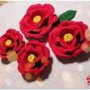 동백꽃약국 이미지