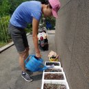 중리할머니경로당 이미지