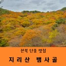 산채마을 | 24.11. 전북 지리산 뱀사골 와운마을 천년송 산채정식 오도재 지안재