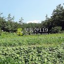 상곡리농장 이미지