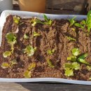 동해종묘사 이미지