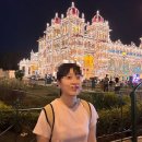 JN팰리스 | 인도 여행 일지 1탄🇮🇳