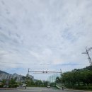 파스타왔어요 - 남구 신정로87번길 1 | 광양파스타 맛집 덕수파스타, 여름 한정 신메뉴 불닭 크림파스타 솔직후기 | 광양가성비맛집