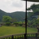 춘천상가전문공인중개사사무소 이미지