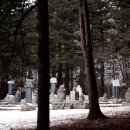 월정사 부도군 이미지