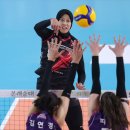 흥국생명 이미지