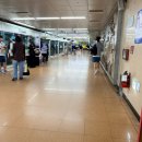 (주)광안교통 | 부산 기브 앤 레이스(GIVE `N RACE) 10km 코스 참가 후기(좋았던 점, 아쉬웠던 점) 및 광안대교 코스 복기