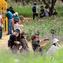 꽃향기가득한 이미지