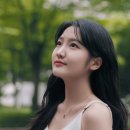 바카이빙 이미지