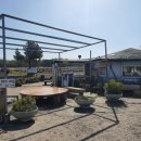 탐라승마장 이미지