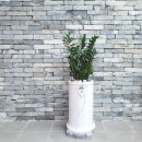 제일종합약국 이미지