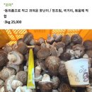 예담농원 이미지