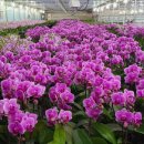 화경축산 이미지