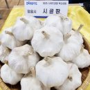 혜주농장 이미지