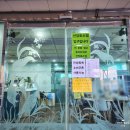 더뷰호스텔 | 묵호, 선창호스텔 오션뷰 후기