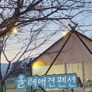 올레애견펜션 이미지