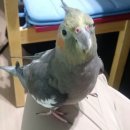 약수터주유소 이미지