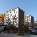 석전동246 이미지