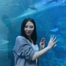 브랜드스케이프 | 바디스케이프 감각브라, 하루 종일 편해서 손이 자주 가는 브라 후기