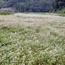 금산군 생활자원회수센터 이미지