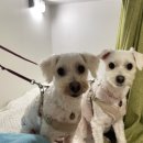 퀸제누비아 노래연습장 이미지