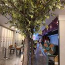 SG예스골프 이미지