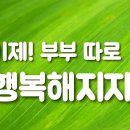 Ion 이온/ 이제~부부 따로 행복해지자/부부인연의 영적인 목적 - YouTube﻿ 이미지