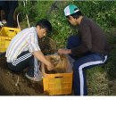 늘해랑농원 이미지