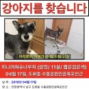 도화동공원 이미지