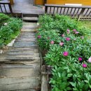 작약꽃펜션 이미지