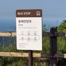 전나무목장 | 평창여행 코스 월정사 ~ 양떼목장 알짜코스 추천