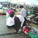 남대천단오장 이미지