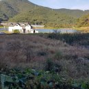 금싸라기공인중개사사무소 이미지