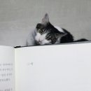 주간탁구 이미지