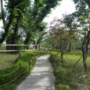 종합운동장길 이미지