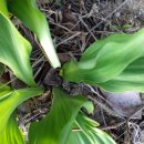 말미골농장 이미지