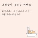 샤워앤독 이미지