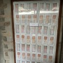 알티드 | D+150 이글네스트 트레킹 후기
