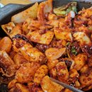 조가네갑오징어 이미지