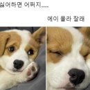 서초대로22길 51 | 06.24.~06.30. T라 미숙해 ...