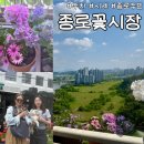 초록마을 부천약대점 | 가성비최고 &#34;종로꽃시장&#34; 주차, 시세, 영업시간, 가게추천 내돈내산