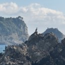 해운행정사사무소 이미지