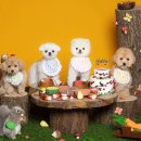 디어퍼피 이미지