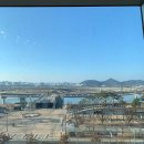 세종특별자치시청 이미지