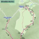 대관령로뎀나무 이미지